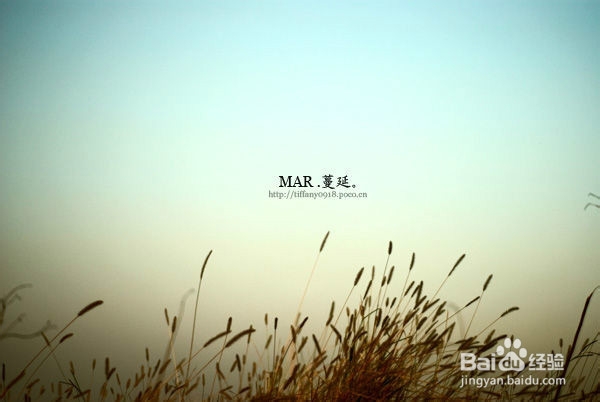 如何进行情绪的调节？