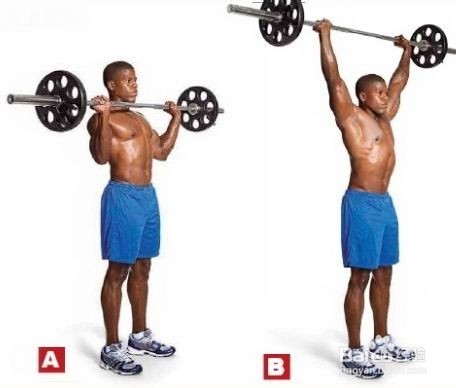 三角肌前束——杠铃颈前推举（图解+视频）