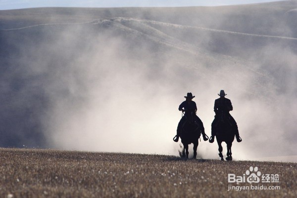 金佛山旅游攻略
