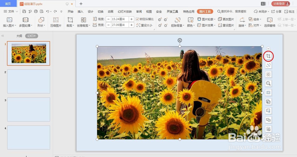 ppt中怎么裁剪图片
