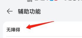 放大手势功能在哪里设置？