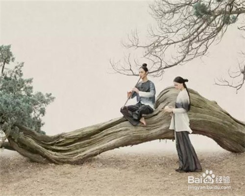 洋葱的功效（防菌）