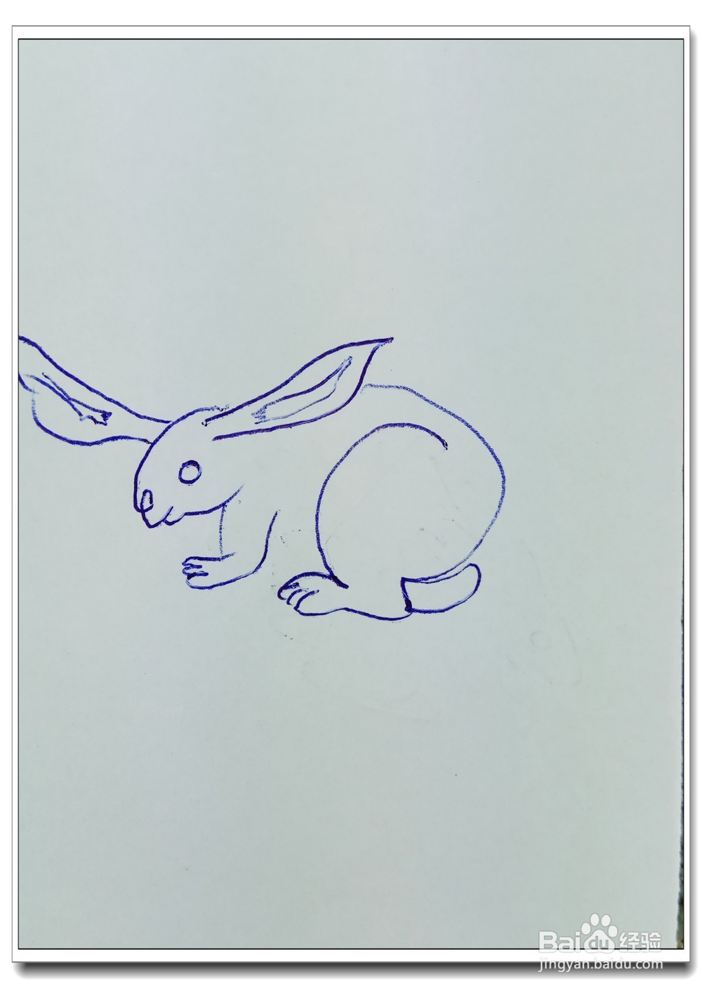 怎样画简笔画“可爱的小白兔”?