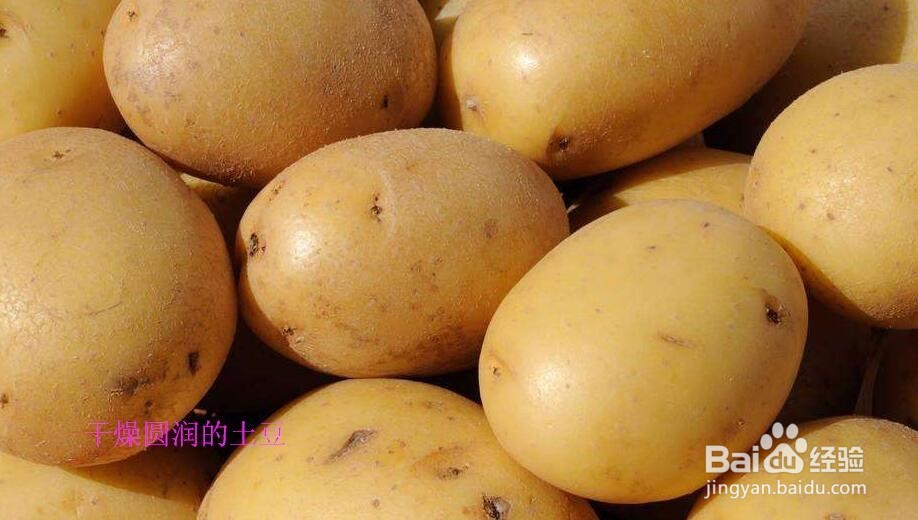 如何选购和购买优质土豆