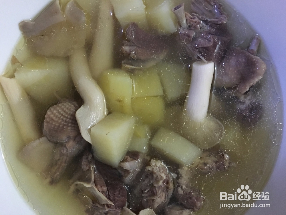 鸽子汤怎么做？