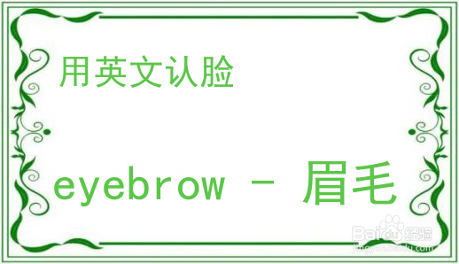 教你用英文认脸