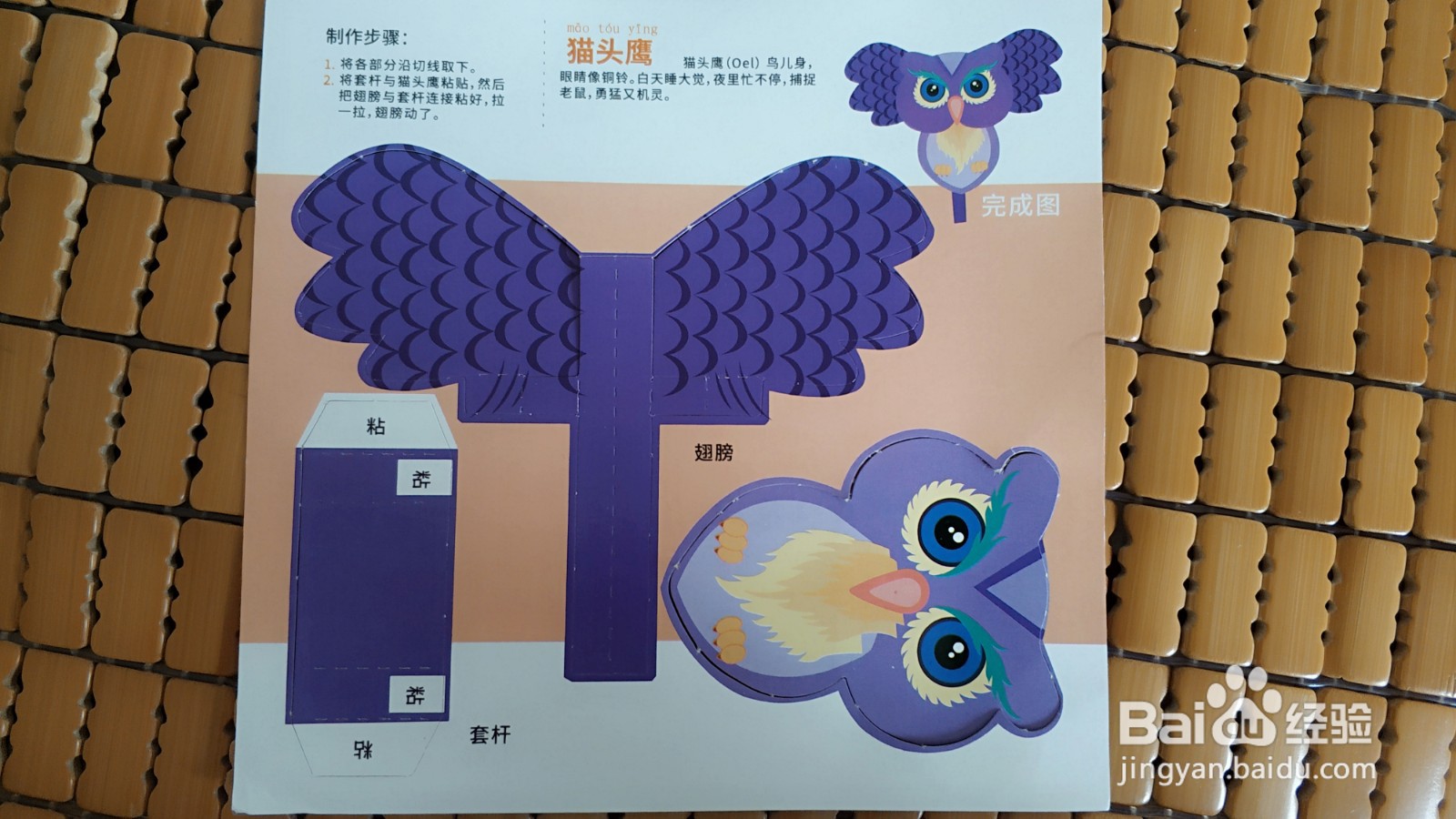 儿童手工:猫头鹰的做法?