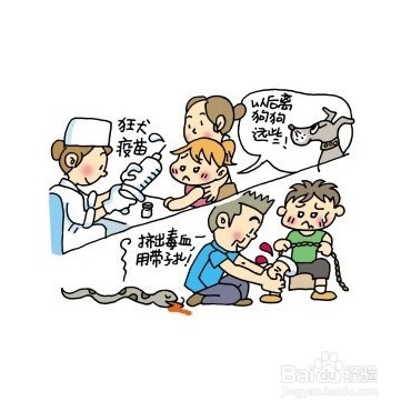 儿童被动物咬伤的注意事项