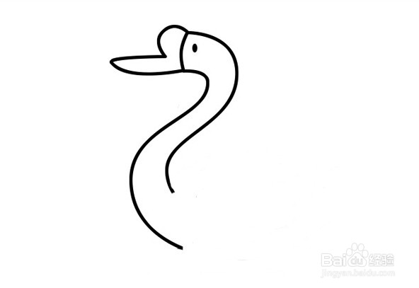 大白鹅简笔画 分步画法