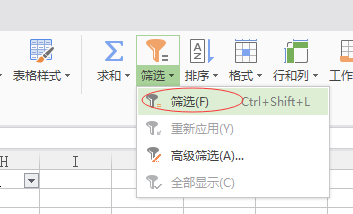 excel表格中如何进行颜色筛选