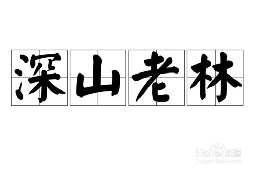 怎么用新华字典？