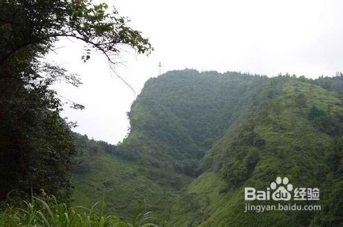 雅安地震之雅安回忆