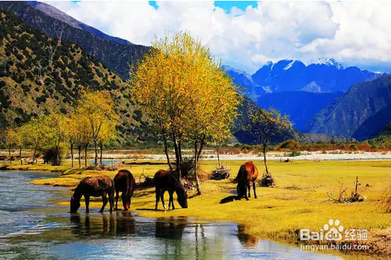 领略川藏线上的美丽风景
