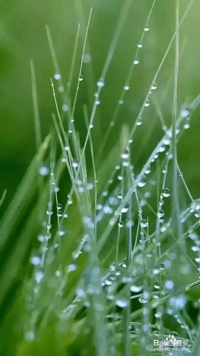 七个摄影小技巧,让你在雨天也能拍出好照片