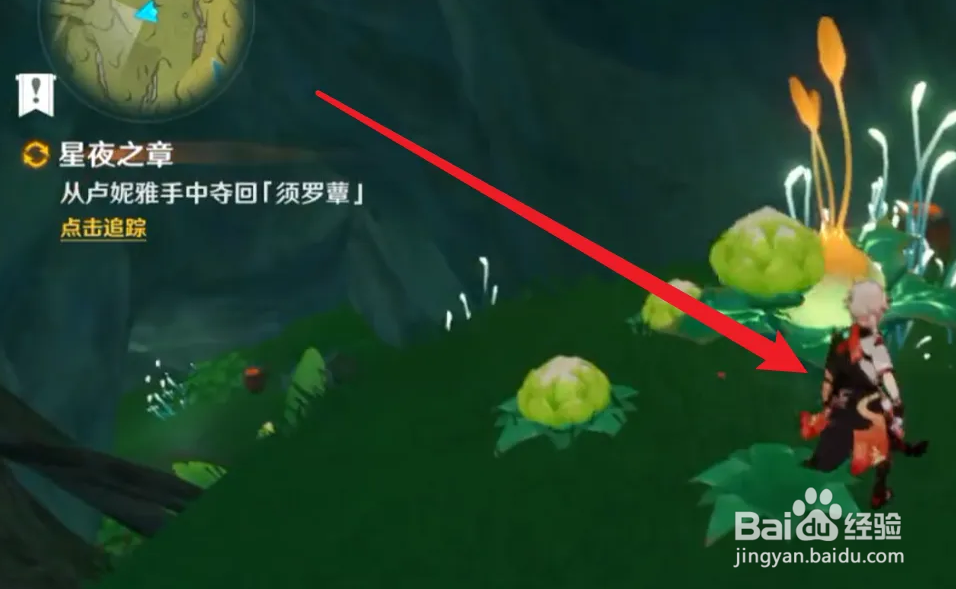 追上卢妮雅怎么追