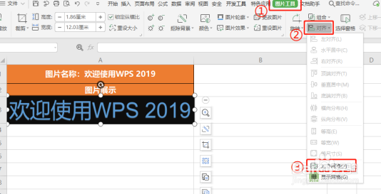 WPS如何设置表格图片随单元格调整而调整？