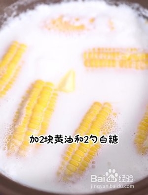 食补养生鲜嫩玉米的做法