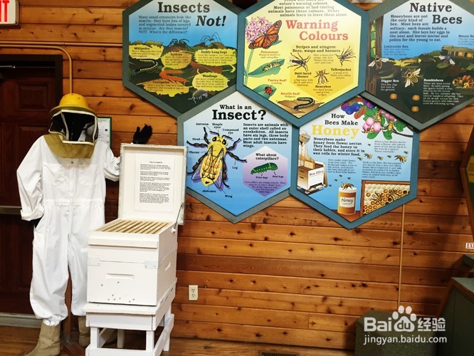 温哥华自然公园学校郊游活动