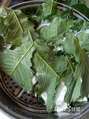 伯乐叶饼的做法