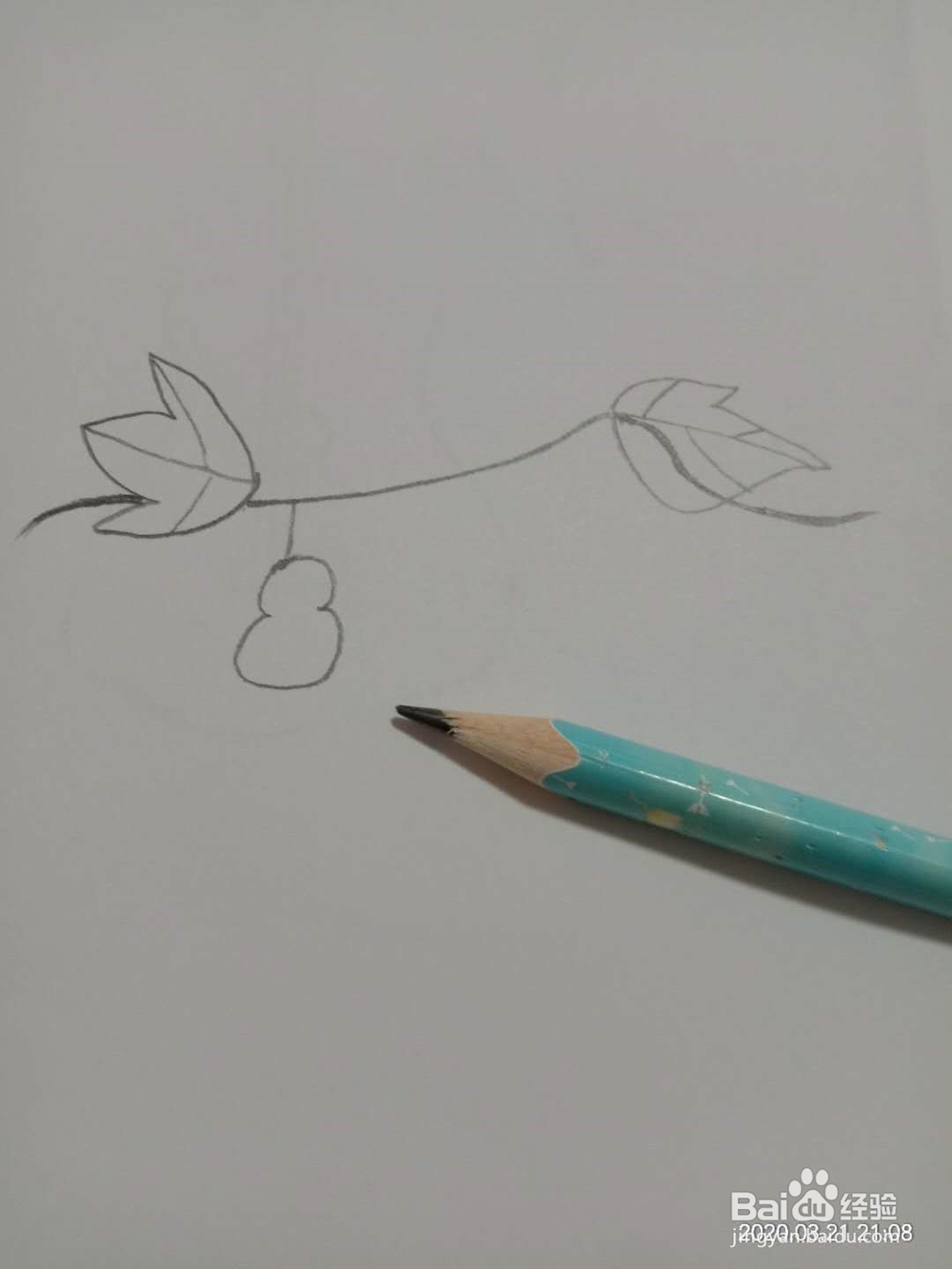 简笔画 如何画葫芦