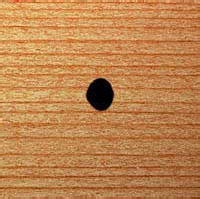 PS制造水珠效果及文字方法