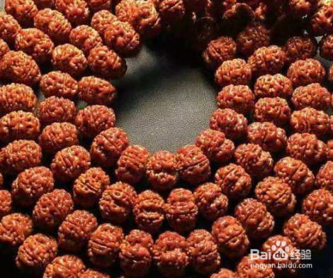 龙鳞纹小金刚盘玩攻略