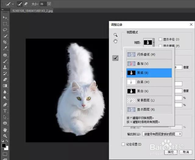 PS:如何用蒙版抠出白猫