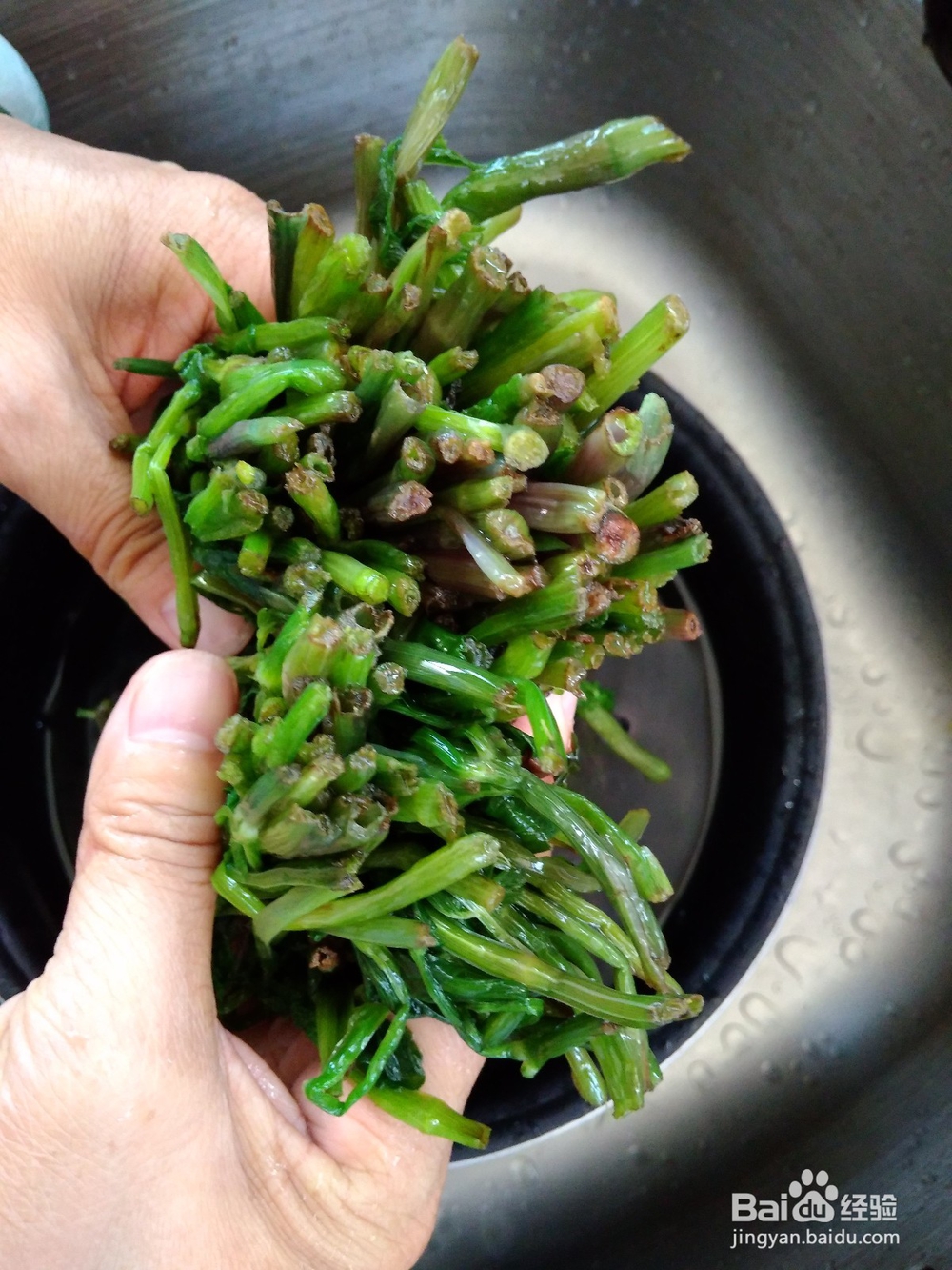 包水芹菜陷包子技巧