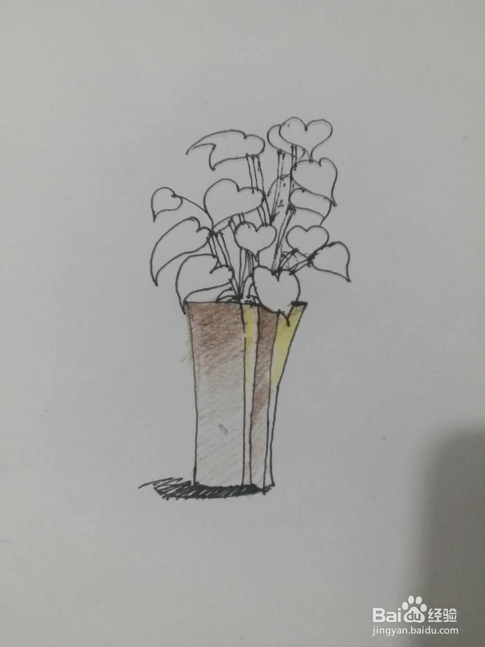 如何画盆景（一）