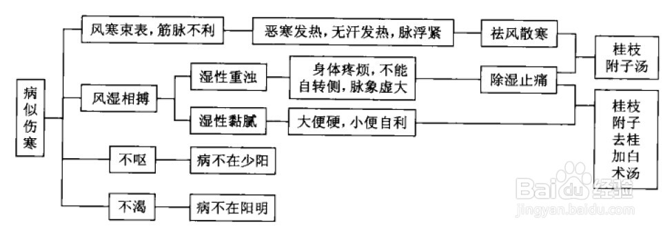 伤寒论考点重点疏理：[27]太阳病类似证