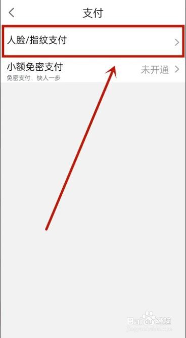 点淘如何打开指纹支付
