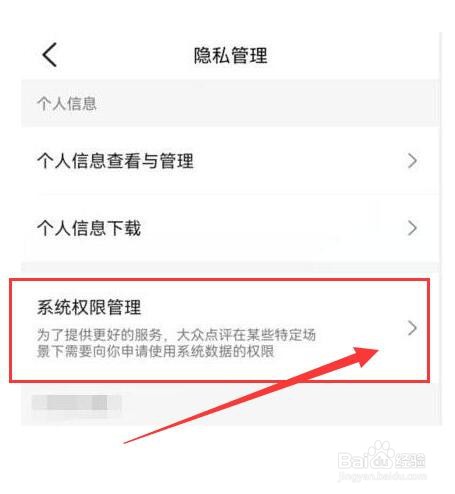 如何设置大众点评仅使用期间允许使用相机？