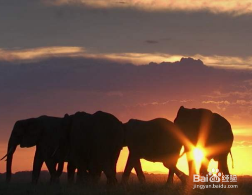 企业视频宣传片多长时间比较好