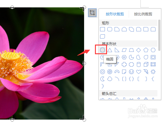 如何将word里面图片裁剪成圆形