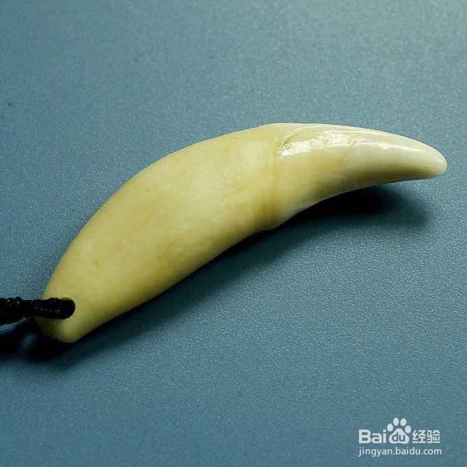 狗牙怎么消毒才能带