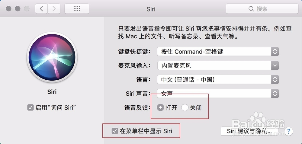Mac系统版本怎么看