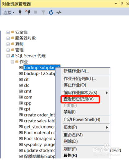SQL Server 中查看代理作业记录日志的方法有哪些