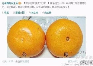 如何挑选甜橘子