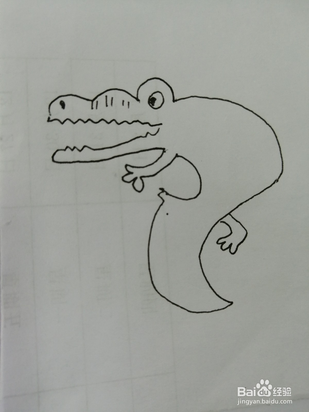 简笔画可爱的鳄鱼怎么画