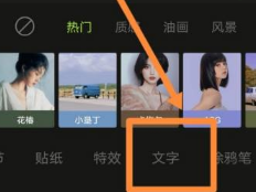 醒图怎样添加竖排文字?