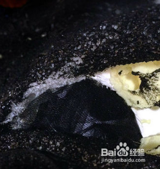 星爷的小七和狮子都还有粉丝