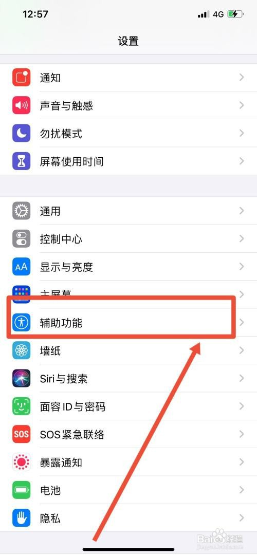 苹果手机调反色怎么操作