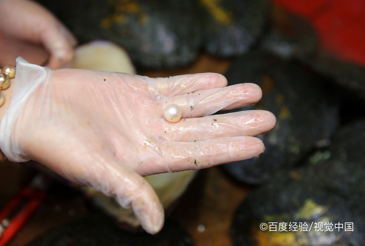 珍珠怎么来的