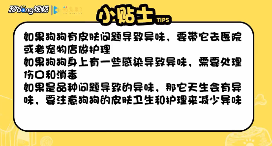 家里养狗怎么除异味