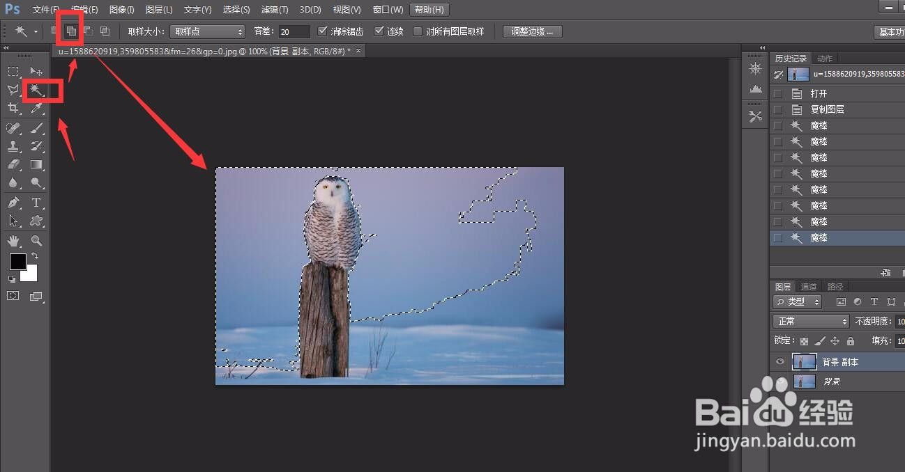 photoshop怎么用魔棒工具抠图