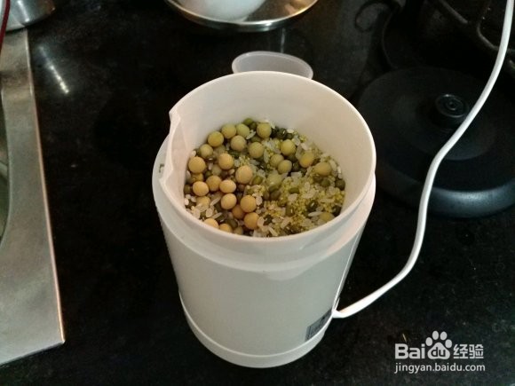 鹦鹉奶粉怎么配制
