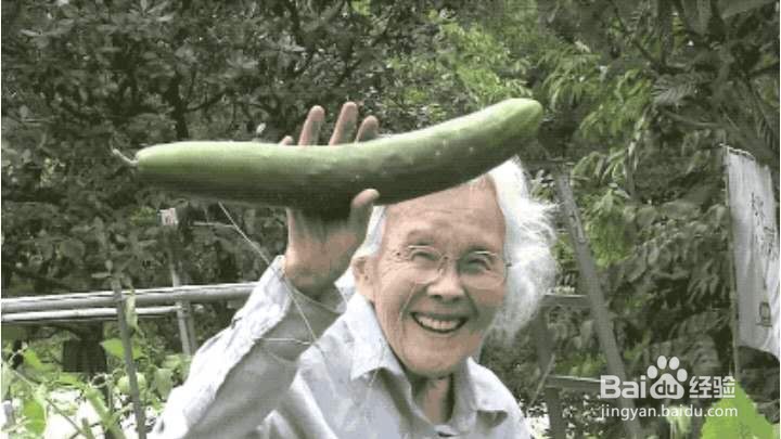 乡间的暑假生活攻略