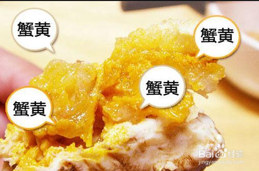 六月黄大闸蟹怎么吃？和大闸蟹有什么区别？