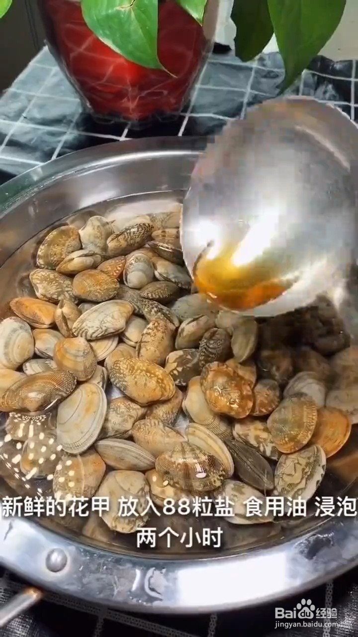 如何自制好吃美味的捞汁花甲
