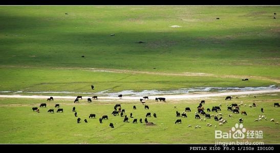 公务员知识学习：[2]牛吃草特殊模式一